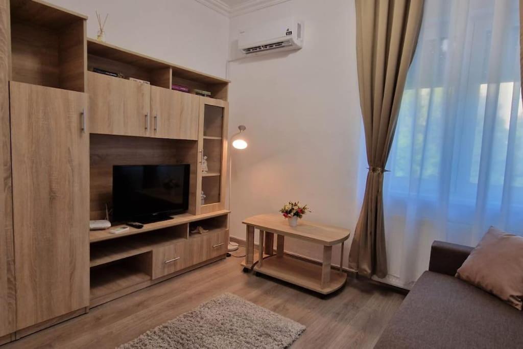 Little And Cozy Studio Breakfast Included Timișoara Zewnętrze zdjęcie